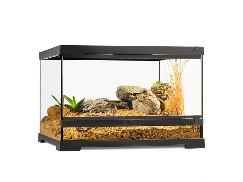 Exo Terra Pro Terrarium - 45 x 45 x 30cm – Steghöhe: 70 mm