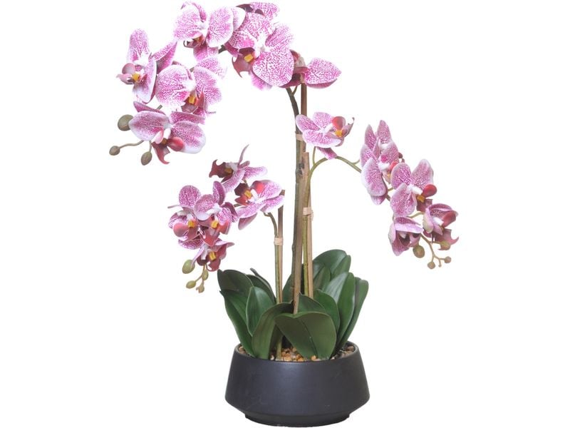 CHALET Kunstblume Orchidee im Topf 58 cm, Weiss/Rosa