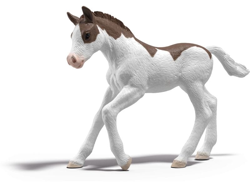 Schleich Sammelfohlen Dipper