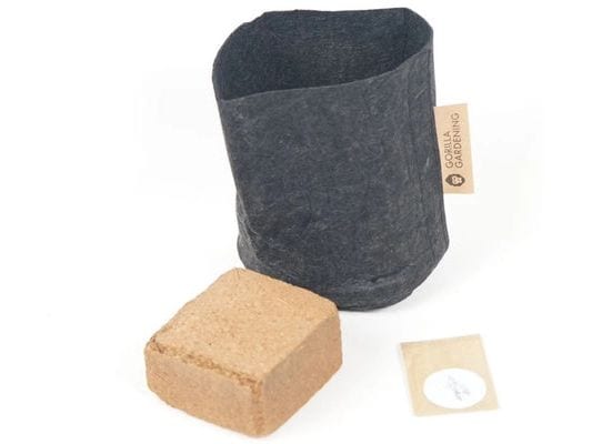 [2160498] Gorilla Gardening Pflanzset Koreanische Minze