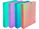 Exacompta Archivbox Candy Tidy mit Gummizugverschuss assortiert