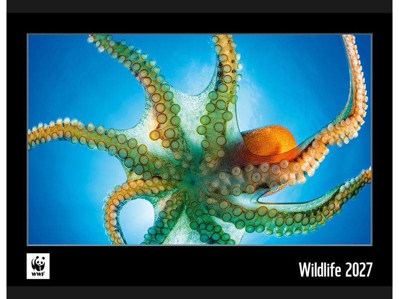 Calendaria Wildlife 34 x 48 cm