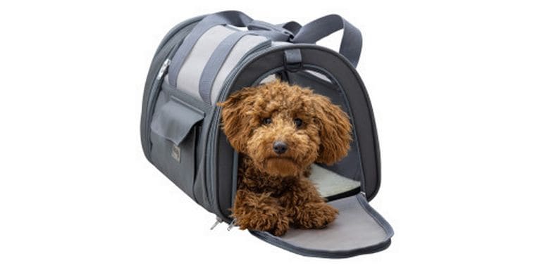 [2167270] Kerbl Vacation Air 43 x 28 x 28 cm Grau
