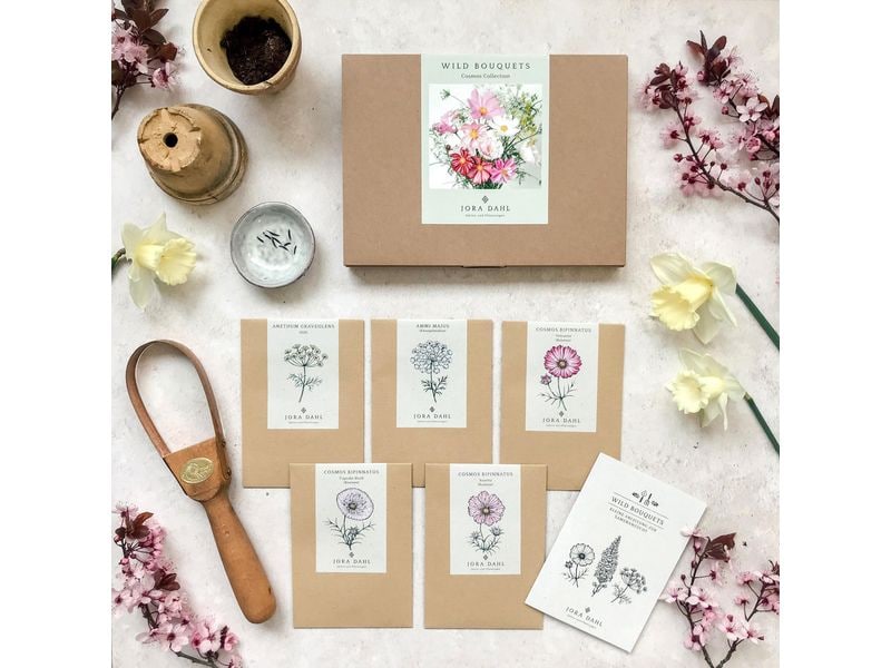 Gorilla Gardening Blumenstrauss zum selber Pflanzen Kosmeen-Mischung