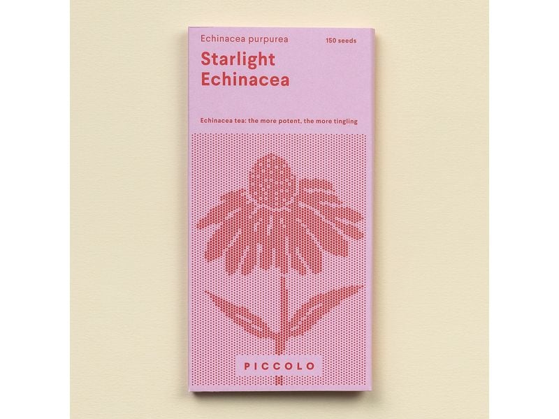 Gorilla Gardening Purpursonnenhut Starlight mehrjährig