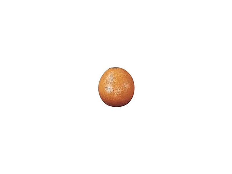 Remo Fruit Shaker Orange