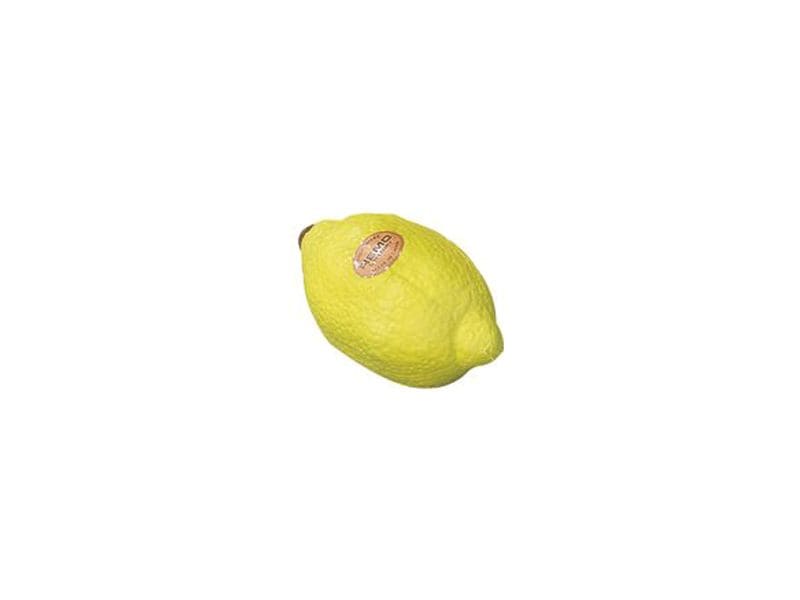 Remo Fruit Shaker LEMN Zitrone