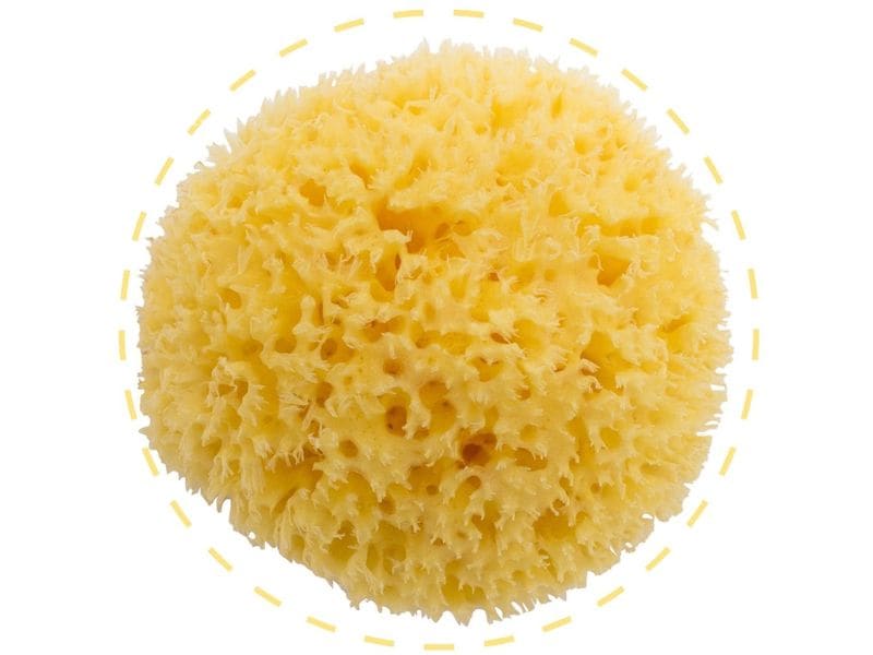 Bellini Baby Naturschwamm gebleicht Honeycomb No. 10 Gelb