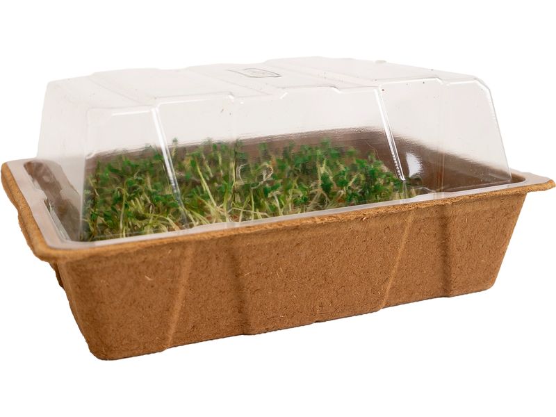 [2171282] Romberg ECO MINI biologisch abbaubare Zelluloseschalen