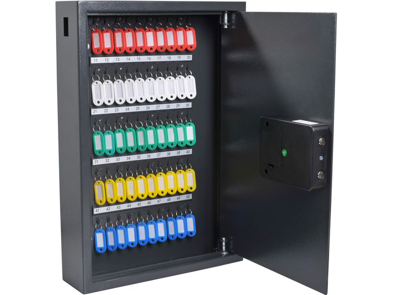 Pavo Schlüsselsafe Advanced 50 Haken, Grau