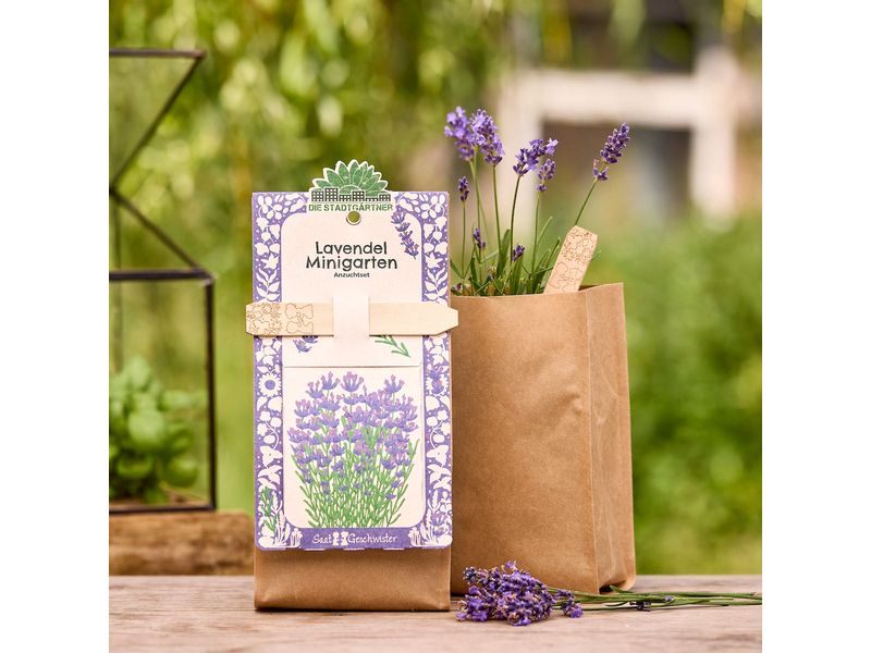 Die Stadtgärtner Anzuchtset Lavendel