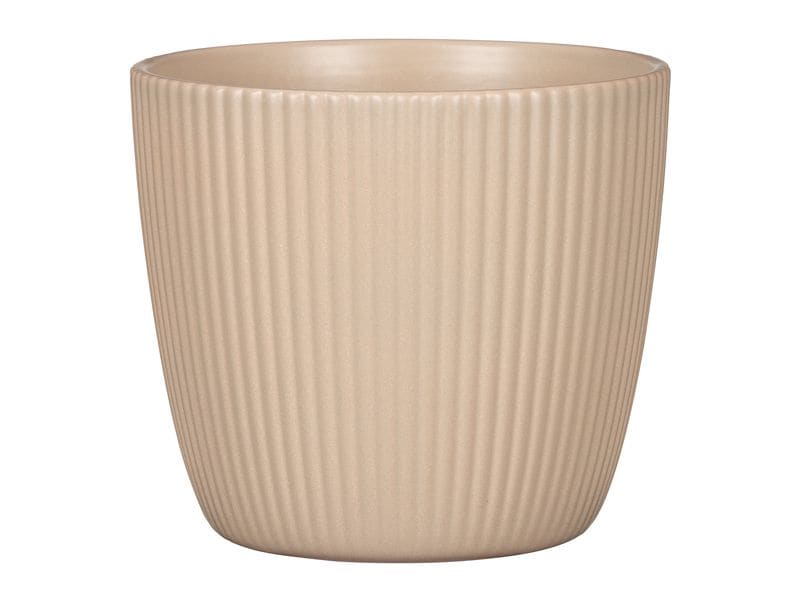 scheurich Blumentopf Aura Dry Reed, 28 cm