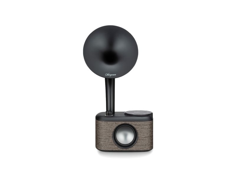 Sangean Radio CP-100D Schwarz/Grau