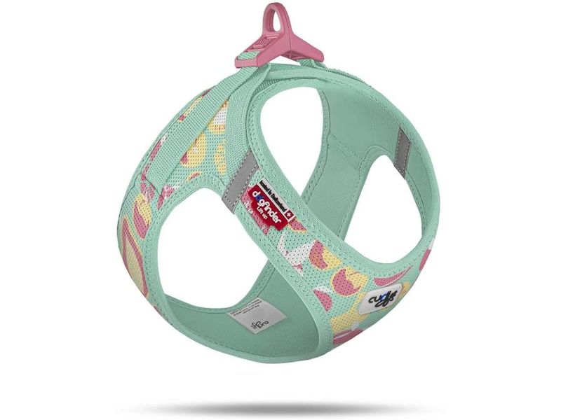 curli Geschirr Vest Air-Mesh LE26 2XS Juicy Fruits Türkis