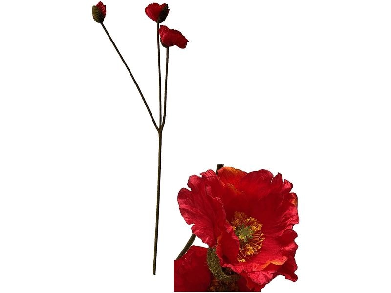CHALET Chalet Blumenstängelmohn 105 cm