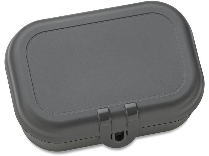 [1350374] Koziol Lunchbox Pascal S Grau