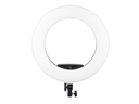 Dörr Dauerlicht SL-480 LED