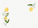Duni Tischset Lemon Fiesta 250 Stück, 40 cm x 30 cm, Gelb/Weiss