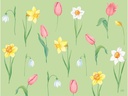 Duni Tischset Spring Melody 40 cm x 30 cm, Mehrfarbig