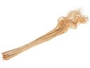 Opiflor Curly Ting gebleicht