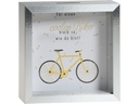 Trendcompany Spardose Velo