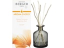 Maison Berger Duftstäbchen Aroma Energy- Zestes Toniques 180 ml