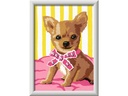 Ravensburger Malen nach Zahlen CreArt Kleiner Chihuahua 14 x 19 cm
