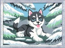 Ravensburger Malen nach Zahlen Frecher Husky Mehrfarbig