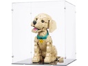 iDisplayit Acryl-Display für LEGO 11384 Golden Retriever Welpe