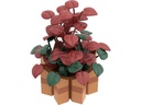 Brixies Plus Mini Blume Autumn flower