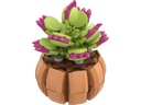 Brixies Plus Mini Blume Venus
