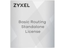 Zyxel iCard Basic Routing Einzellizenz für XS3800-28 Unbegrenzt