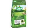 Gesal Rasen-Langzeitdünger PERFECT 6 kg