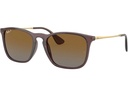 Ray-Ban Sonnenbrille Chris Schwarz / Dunkelgrün