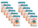 Royal Canin Nassfutter Ageing 15+ Sosse 12 x 85 g