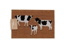 Boltze Fussmatte Moolina 60 x 40 cm