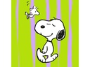 Braun + Company Snoopy Grün 20 Stück