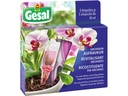 Gesal Orchideen-Aufbaukur 5 x 30 ml