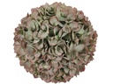 CHALET Eukalyptus Kugel L 23 cm, Grün