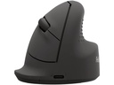 Fellowes Workplace Vertikalmaus Breyta Plus Rechtshänder, Medium, Schwarz