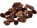 Dekomat AG Tannenzapfen 200 g 7-10 cm