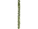 Botanic-Haus Buchsbaumgirlande Grün 180 cm