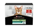Purina Pro Plan Adult Sterilised Maintenance in Sauce mit Rind 10 x 85 g