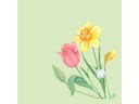Duni Papierservietten Spring Melody 40 cm x 40 cm, 60 Stück
