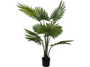 present time Kunstpflanze Fan Palm 108 cm, Grün