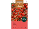 Samen Mauser Samen Tomate Zucchero F1 Kirschtomate Zucchero F1