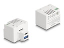 Delock Keystone-Modul 2 Pin Terminalblock zu USB Typ-A – C PD 20 W