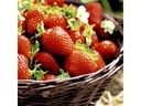Paper + Design Papierservietten Strawberries 33 cm x 33 cm, 20 Stück