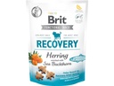 Brit Snack Recovery Herring 150 g