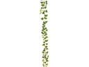Botanic-Haus Efeugirlande Grün/Weiss 180 cm